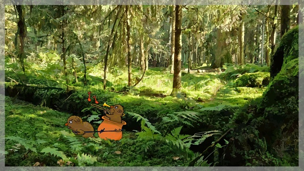 Ein Biber zieht einen anderen Biber in einem Kessel durch die Büsche